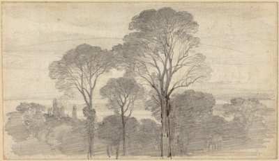 An Evening Landscape with Tall Trees by Myles Birket Foster