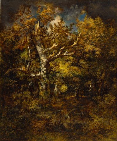 Forest of Fontainebleau, Autumn by Narcisse Virgile Diaz de la Peña