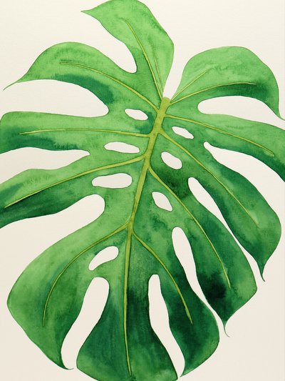 Tropical Monstera Leaf by Natalie Bruns