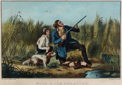 Wild Duck Shooting by Nathaniel Currier