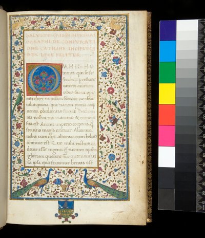 Ms 336. Sallust, Catilina and Jugurtha, f.1r. Full Illuminated Border with Peacocks, Rabbits, Green Parakeets and a Dove by Neapolitan School