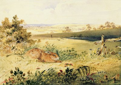 Hare in a Landscape by Newton Fielding