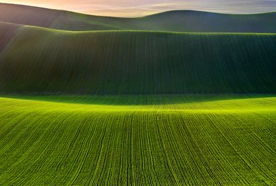 Rolling Green Fields by Nicola Figliuolo