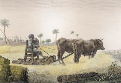Harvesting Corn, from Volume II Arts and Trades of 