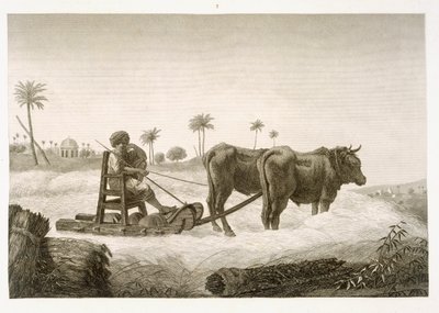 Harvesting Corn, from Volume II Arts and Trades of 
