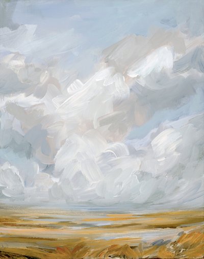 Expansive Cloudscape Landscape by Nicole Walsh