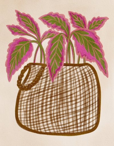 Colorful Potted Plant by Nikita Jariwala