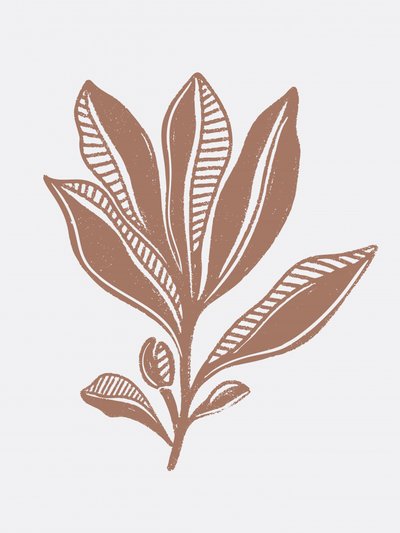 Organic Botanical Sketch by Nikita Jariwala