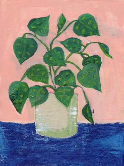 Vibrant Potted Houseplant by Nikita Jariwala