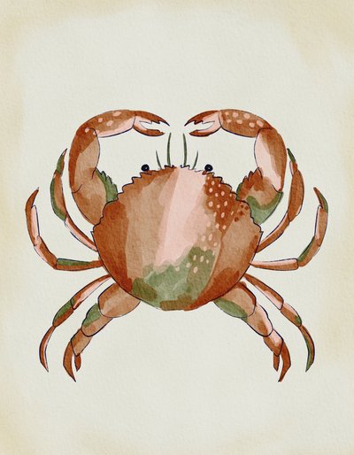 Watercolor Crab by Nikita Jariwala