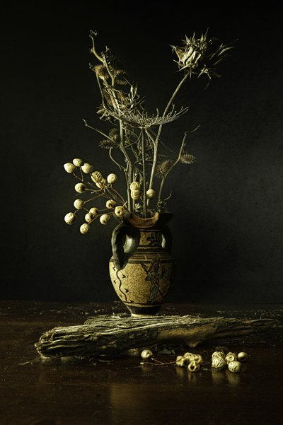 Earthy Botanical Still Life by Noam Mymon