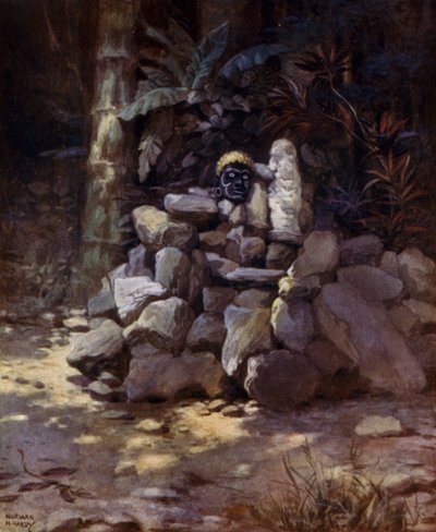 A Shrine or Tomb of a Chief at Simbo, Solomon Islands by Norman Hardy