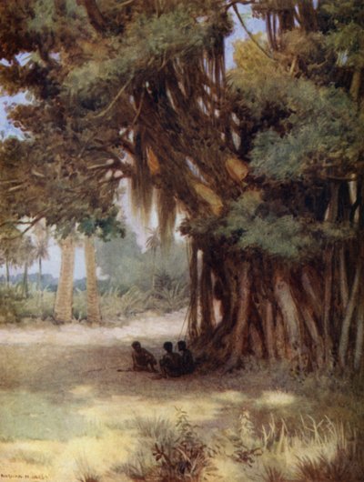Beneath a Banyan Tree, Malekula Island, New Hebrides by Norman Hardy