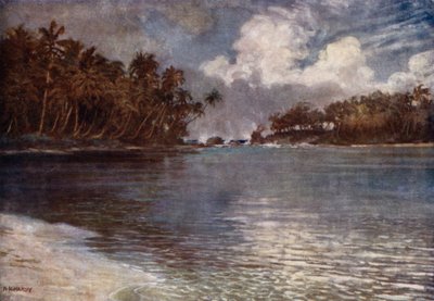 By Reef and Palm by Norman Hardy