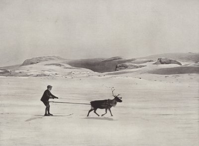 Ski-Driving with Reindeer on the Mountains by Norwegian Photographer