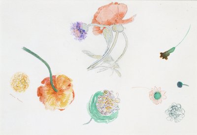 Sketch of Flowers by Odilon Redon