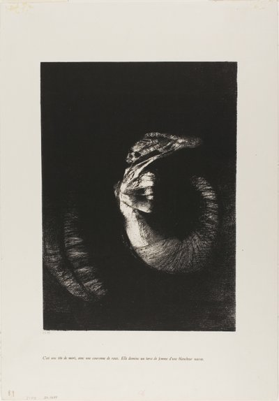 It is a Skull Wreathed in Roses... by Odilon Redon