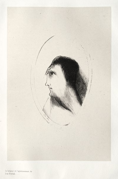 The Breadth and Flatness of the Frontal Bone by Odilon Redon