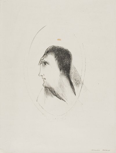 The Width and Flatness of the Frontal Bone, plate 6 of 6 by Odilon Redon