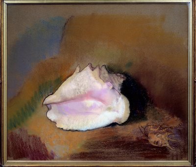 The shell by Odilon Redon