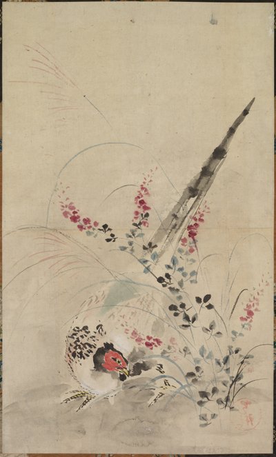 Pheasant and Grasses by Ogata Korin