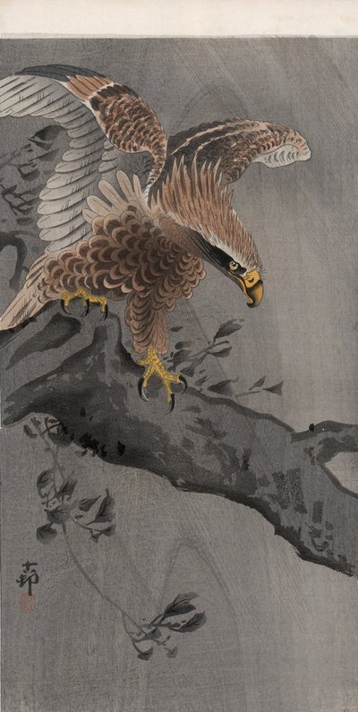 Eagle with Spread Wings on Tree Trunk by Ohara Koson