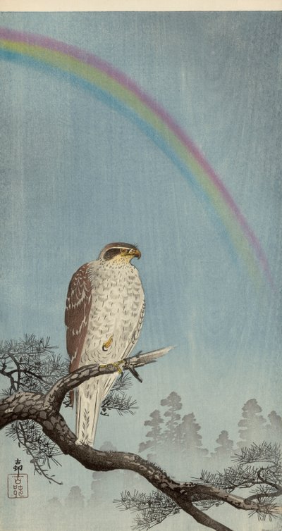 Goshawk on a pine tree with a rainbow above by Ohara Koson