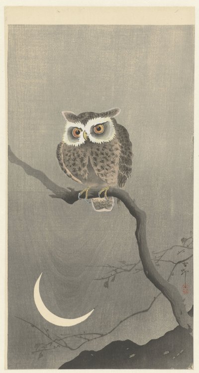 Scops owl on a branch with crescent moon by Ohara Koson