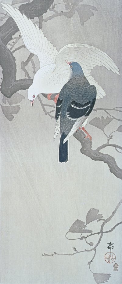 Two Doves in the rain on a branch of a Ginko tree by Ohara Koson