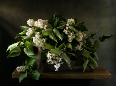 Moody Lilac Bouquet by Olga Aleksandrovna