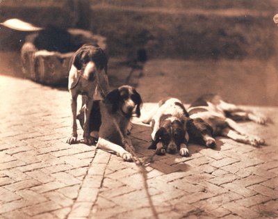 Hunting Dogs, c.1853 by Olympe Aguado