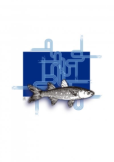 Blue Geometric Fish by Osvaldo Russo