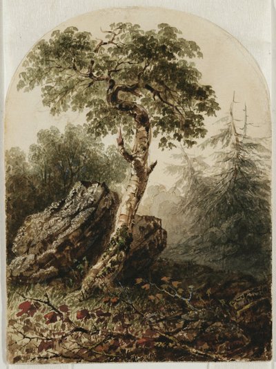 Landscape with Birch Tree, 1859 by Owen G. Hanks