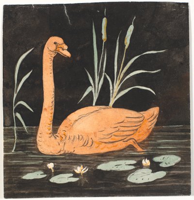 A Swan on Black Background. Decorative Draft. by P.C. Skovgaard