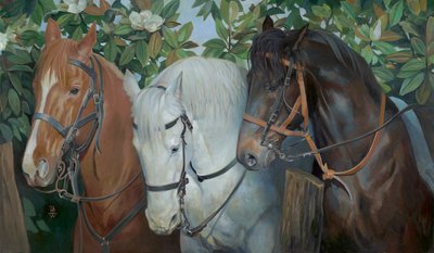 Rescued by Pamela Patrick White