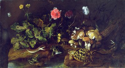 Still Life with a Snake, Frogs, Tortoise and Lizard by Paolo Porpora