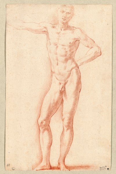 A Male Nude by Parmigianino (1503-40)