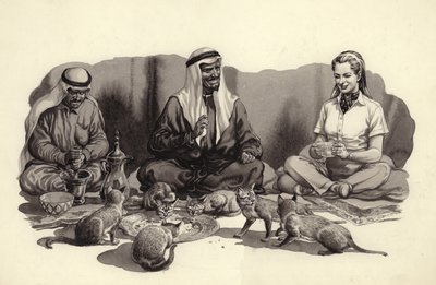 An Arab Man Feeds His Cats by Pat (1907-95) Nicolle