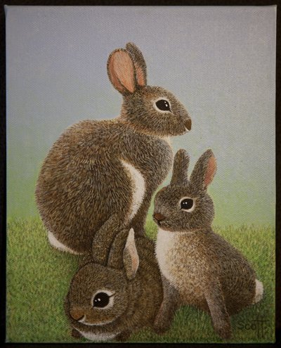 Rabbit Family by Pat Scott