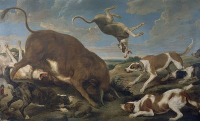 Bull Attacked by Dogs – 17th Century – Baroque Flemish by Paul De Vos