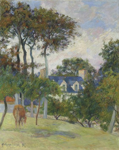 The White House / The Englishwoman