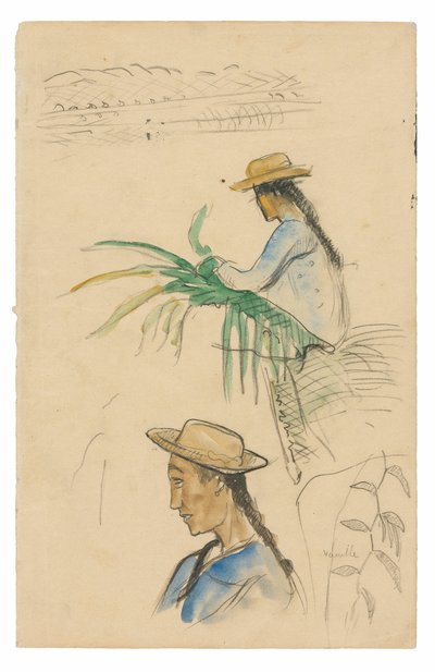 Sketches of Figures, Pandanus Leaf, and Vanilla Plant by Paul Gauguin