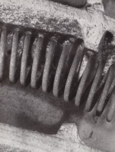 Filament of an Electric Fire by Paul Henning