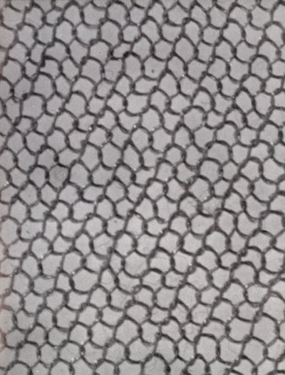 Mesh of a Woman