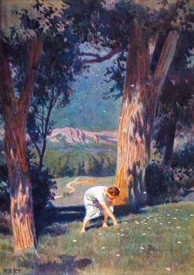 The Star Money by Paul Hey