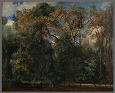 The Elms of Saint-Cloud by Paul Huet