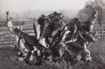 Laocoon, Carswall