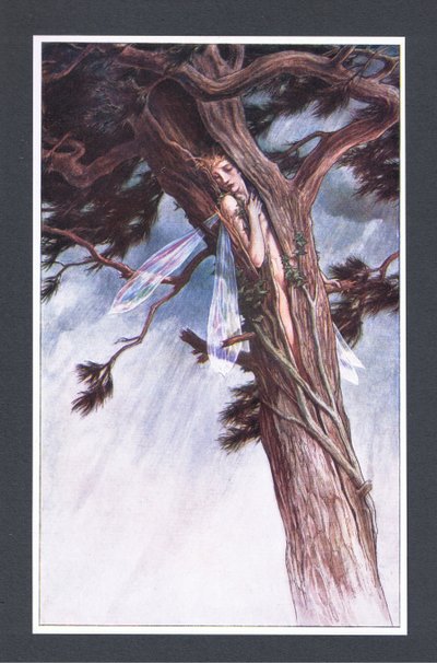 She did confine thee, by help of her most potent ministers and in her most unmitigable rage, into a cloven pine, illustration from The Tempest, 1908 by Paul Vincent Woodroffe