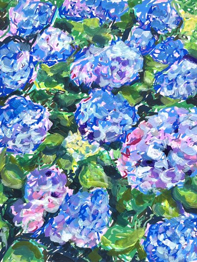 Colorful Hydrangea Blooms by Pauline Wegman | Key and Sea Creative