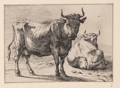 A Cow Standing and Another Lying Down, from Various Oxen and Cows by Paulus Potter